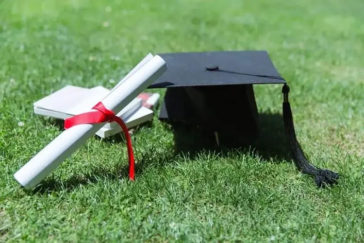加拿大约克大学免费编辑添加义项名