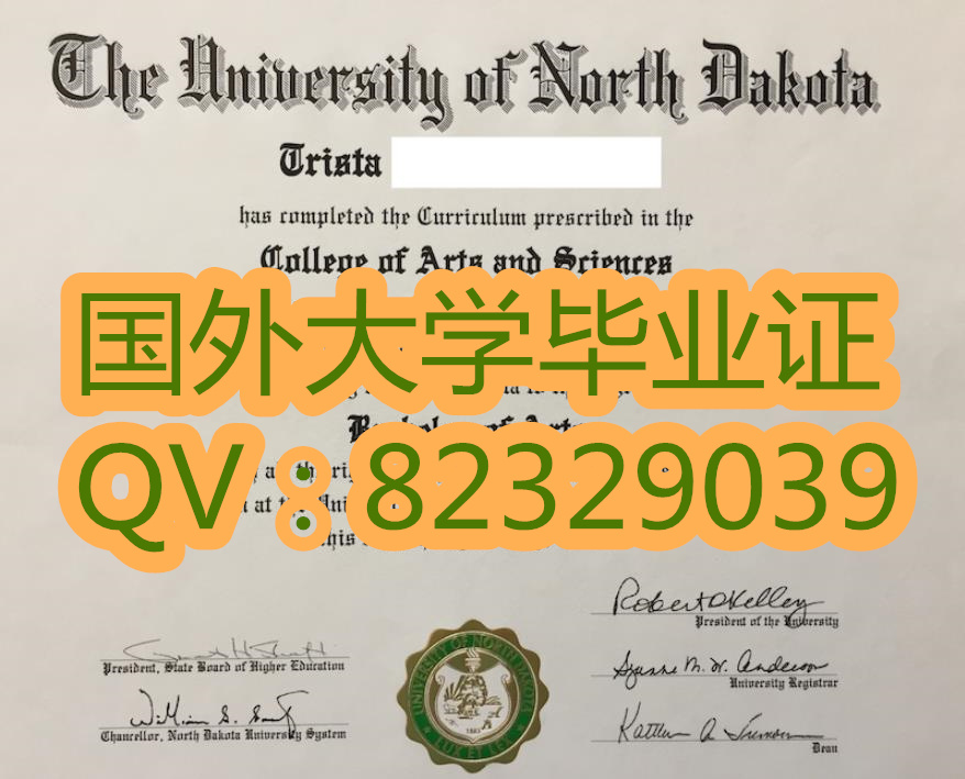 北达科他州立大学