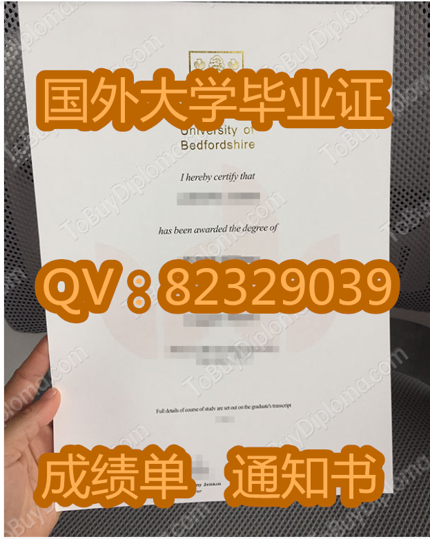 |贝德福德大学毕业证样本相关的图片|学校简介|毕业证加急