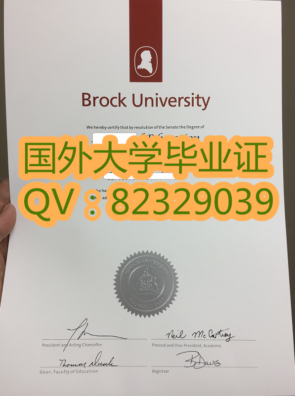 加拿大 布鲁克大学毕业证样本  实拍 布鲁克大学毕业证高清防伪证书