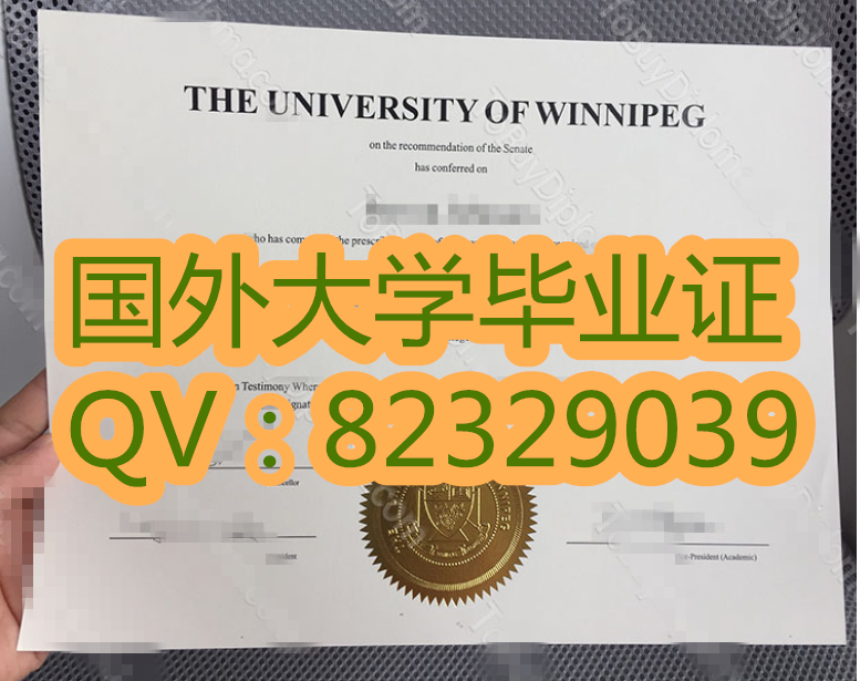 温尼伯大学毕业证书原版图片  加急办理大学证件