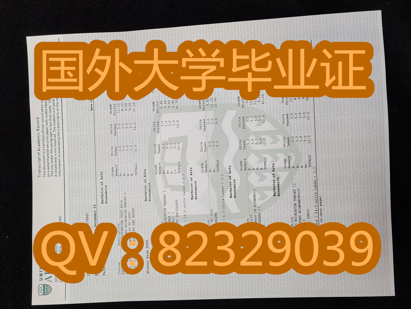 阿尔伯塔大学（University of Alberta）大学证书图片样本|